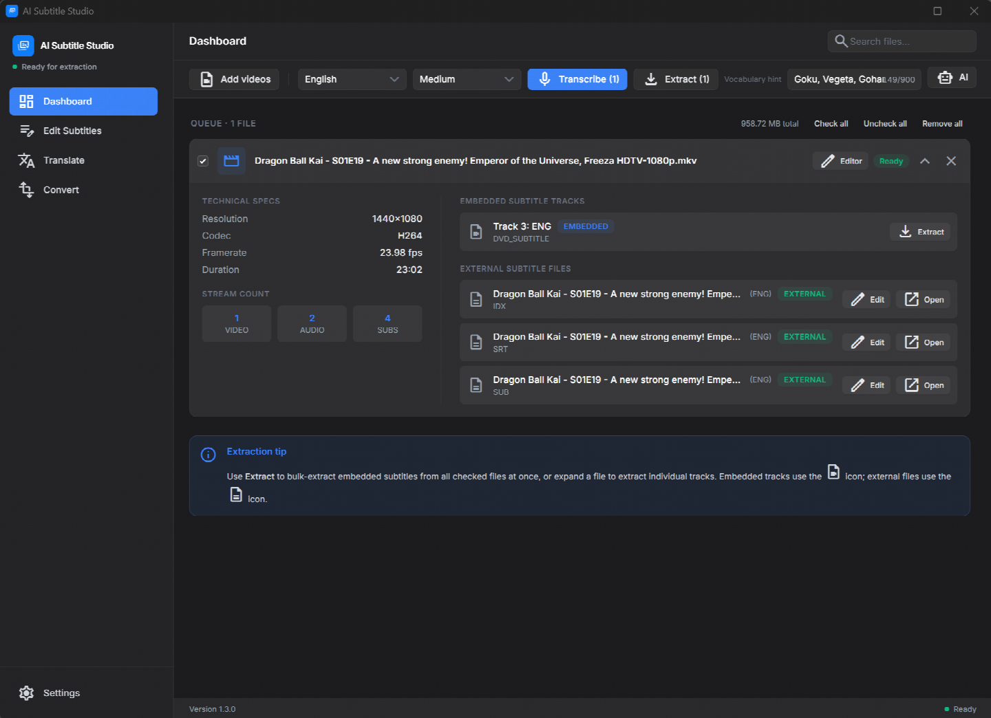 The dashboard queue: an episode expanded to show its technical specs, one embedded DVD subtitle track and three external subtitle files, each with its own extract or edit button.